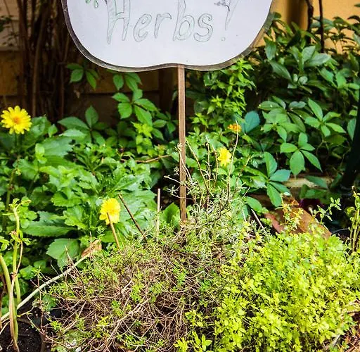 Ruthensteiner *