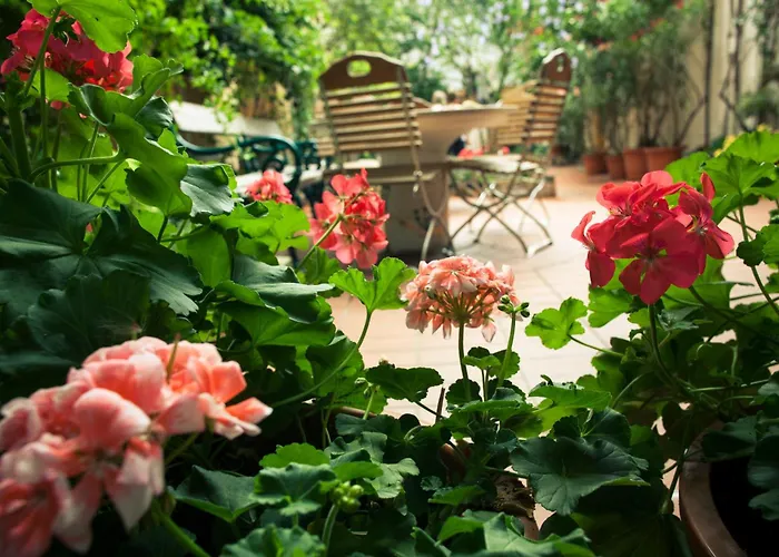 Ruthensteiner Hostel *